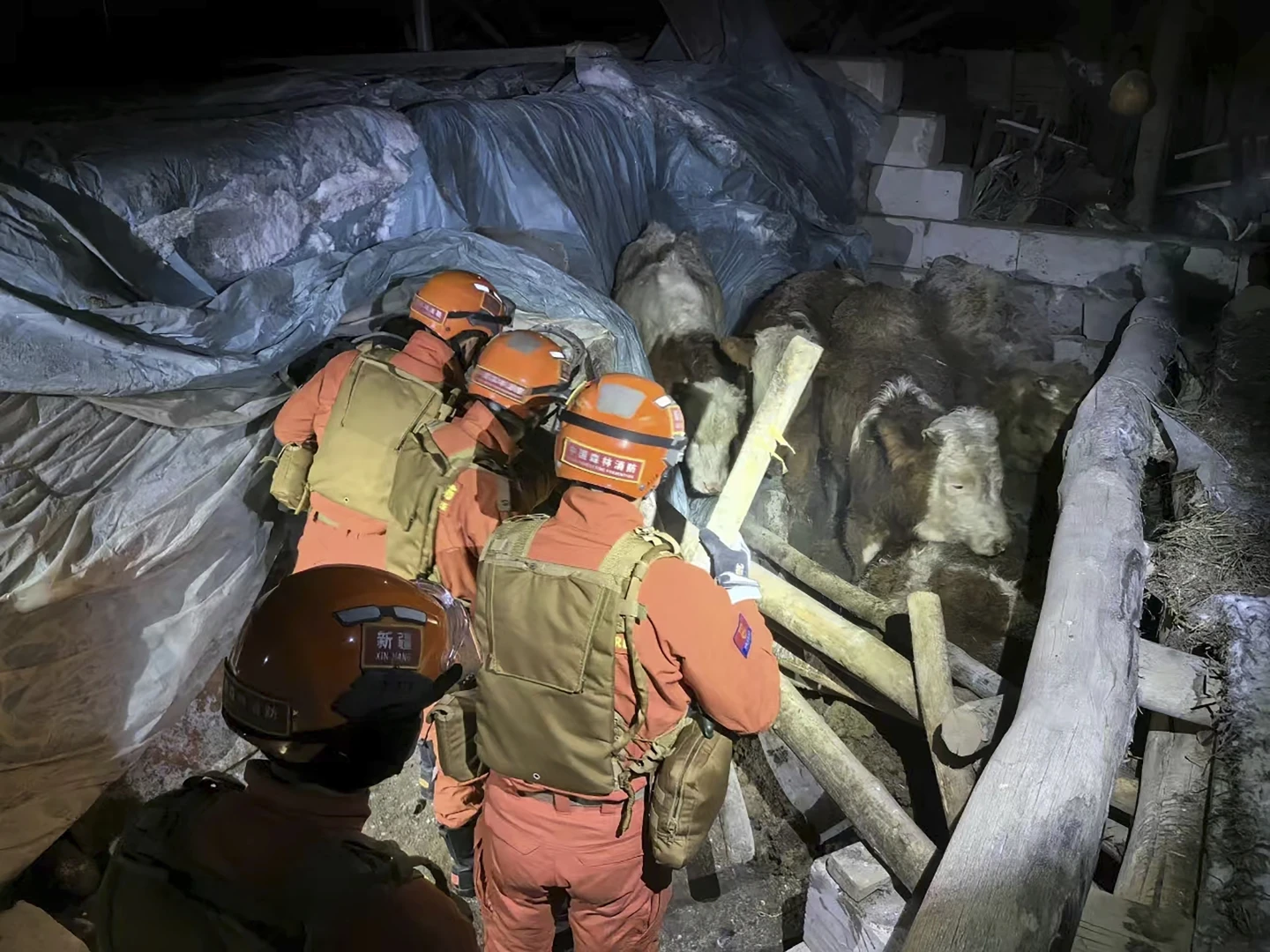 Earthquake Strikes Western Xinjiang, China: Rescue Efforts Underway Amidst Extensive Damage